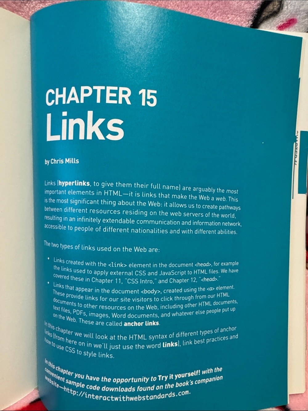 Interact with Web Standards- Web Design - Picture 3 of 3